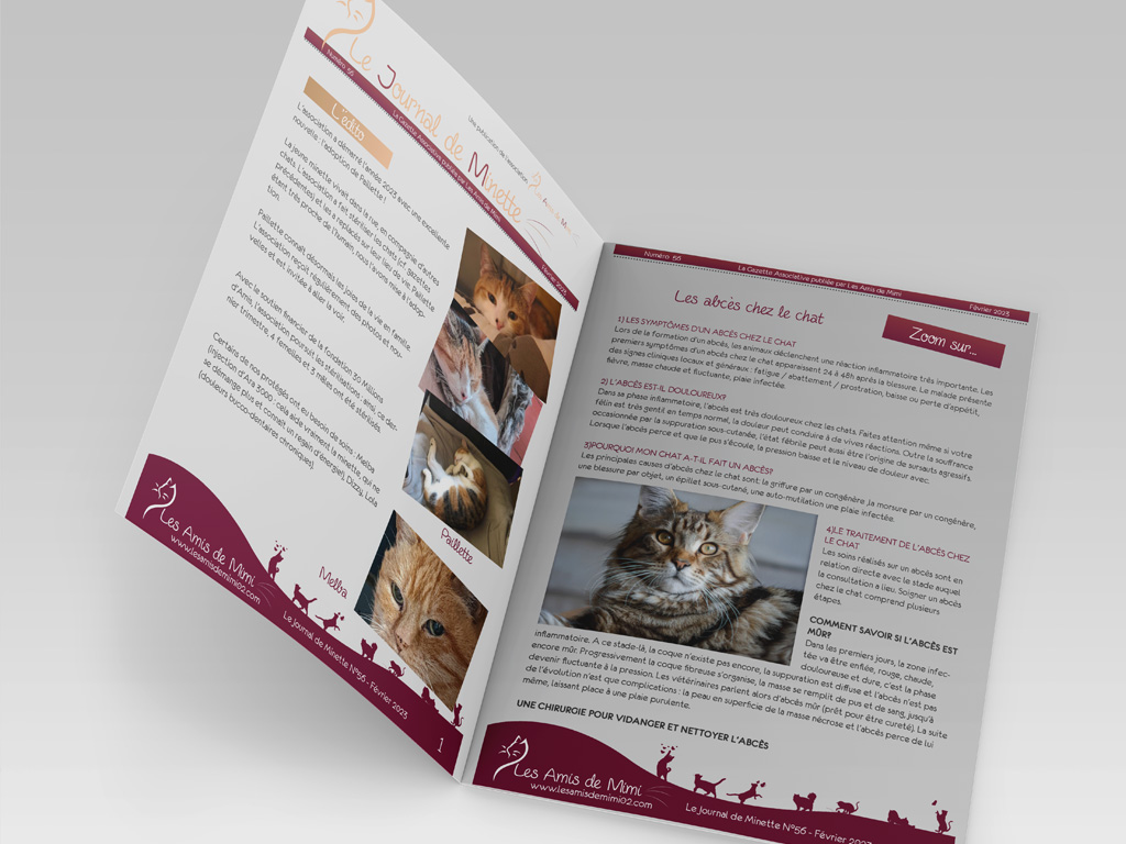 Gazette Associative pour une association de protection féline